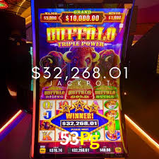 53Pg: A Experiência de Casino com Jogos de Mesa ao Vivo